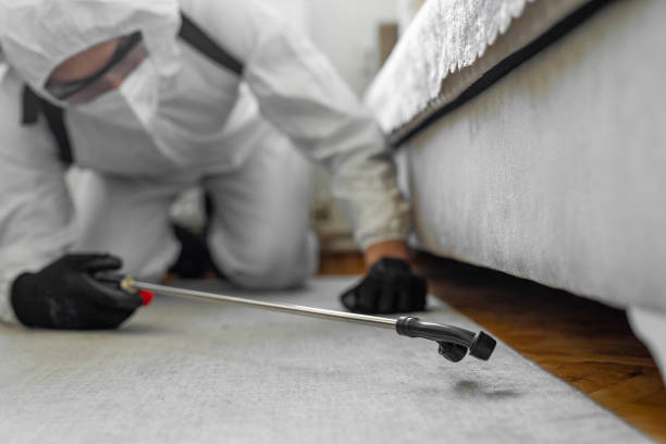 Professional Termite Control technician working in South Bend, IN