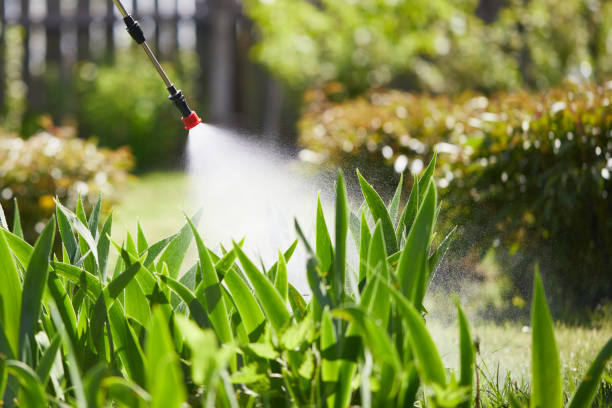 24/7 Emergency Termite Control experts in South Bend, IN