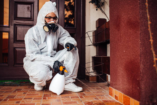 Reliable Termite Control contractor in South Bend, IN by Nex Pest Control